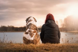 pet dog and woman in nature 
