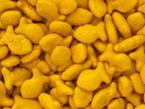 extruded snacks - Goldfish crackers