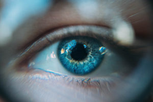 cornea eye